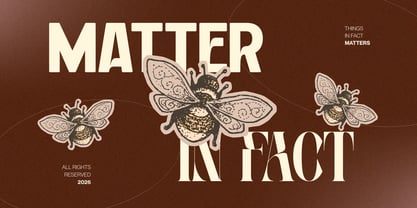 Velora Bloom Font Poster 4
