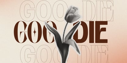 Velora Bloom Font Poster 11