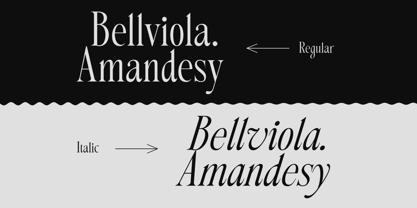 Morvella Font Poster 10