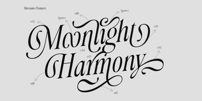 Morvella Font Poster 11