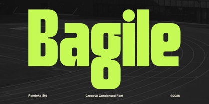 Bagile Font Poster 1