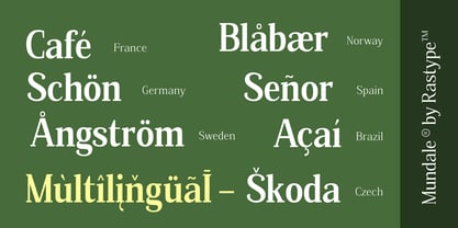 Mundale Font Poster 8