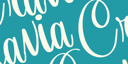 Orchidia Font Poster 4
