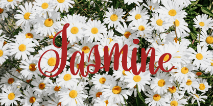 Orchidia Font Poster 3