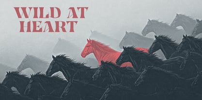 Highborn Gild Font Poster 4