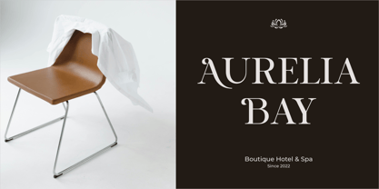 Marquise Royale Font Poster 5