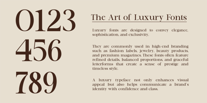 Marquise Royale Font Poster 8