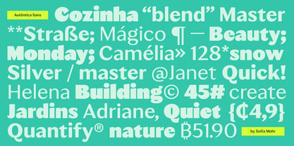 Autêntica Sans Font Poster 8