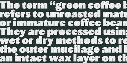 Autêntica Sans Font Poster 12