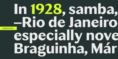 Autêntica Sans Font Poster 14