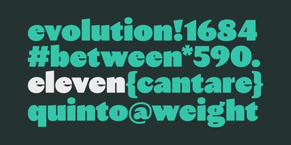 Autêntica Sans Font Poster 7
