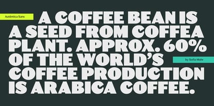 Autêntica Sans Font Poster 6