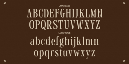 GC Polaire Font Poster 2