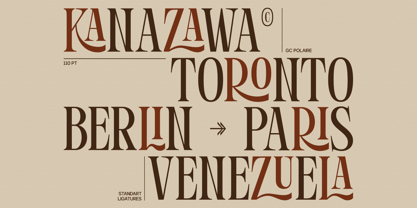 GC Polaire Font Poster 15