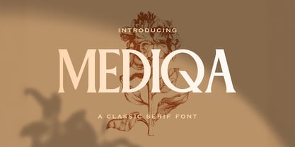 Mediqa Font Poster 1