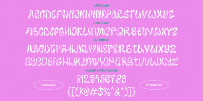 IT Slurvanta Font Poster 4