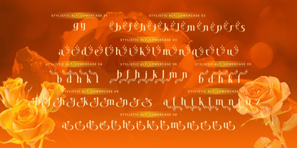 Mowina Font Poster 8