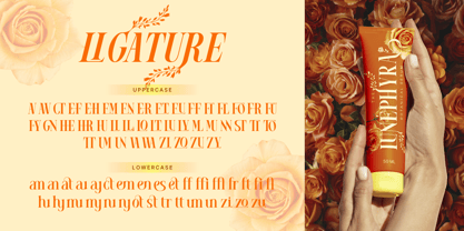 Mowina Font Poster 10