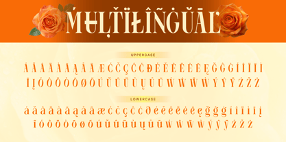 Mowina Font Poster 11