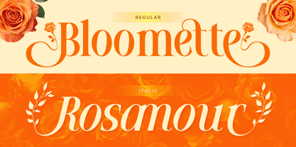 Mowina Font Poster 4