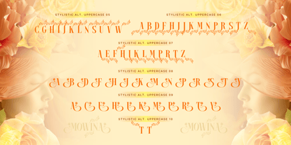 Mowina Font Poster 7