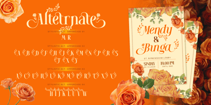 Mowina Font Poster 6