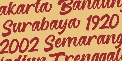 Reginetta Font Poster 5