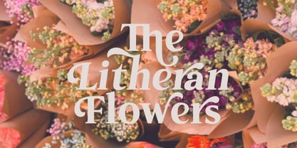 The Kalliagi Font Poster 8