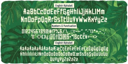 Tropinique Font Poster 3