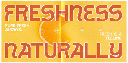 Gnosium Font Poster 9