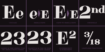 Purple Purse Pro Font Poster 8