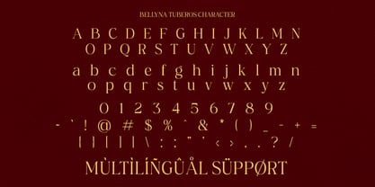 Bellyna Tuberos Font Poster 9