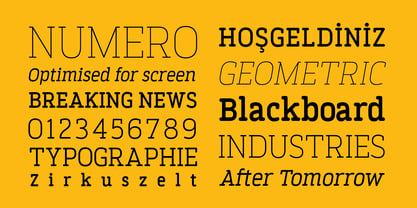 Finalist Round Slab Font Poster 5