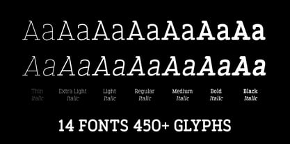 Finalist Round Slab Font Poster 4