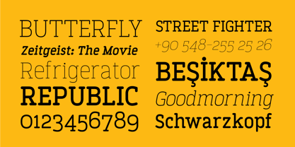 Finalist Round Slab Font Poster 7