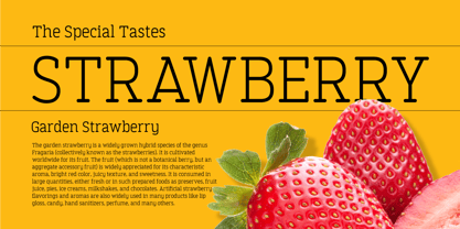 Finalist Round Slab Font Poster 9