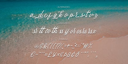 Stefina Signature Font Poster 6