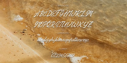 Stefina Signature Font Poster 5