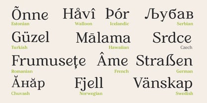 Ancestri Font Poster 13