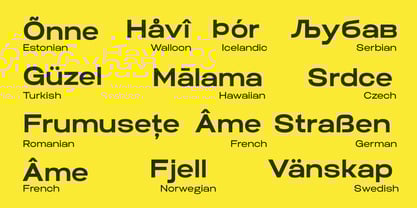 Biarty Font Poster 12