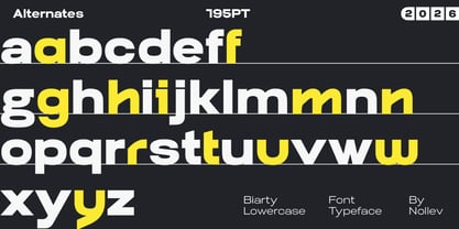 Biarty Font Poster 5