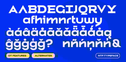 Biarty Font Poster 13