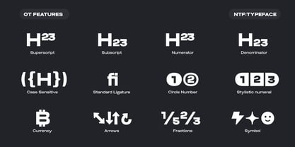 Biarty Font Poster 11