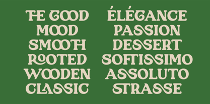 SFC Longyards Font Poster 8