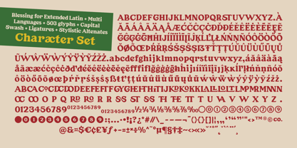 SFC Longyards Font Poster 4