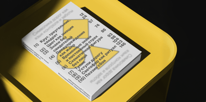 Tatype Neue Font Poster 7