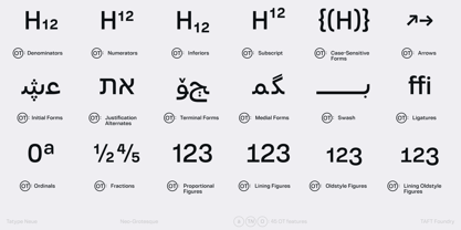 Tatype Neue Font Poster 11