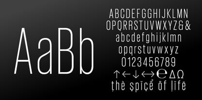 Giraffi Condensed Font Poster 4