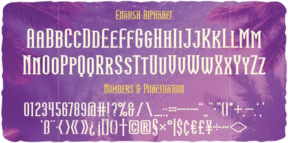 Sunny Climate Font Poster 3