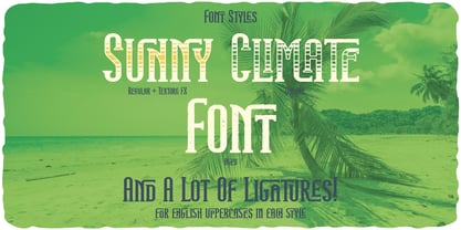 Sunny Climate Font Poster 6